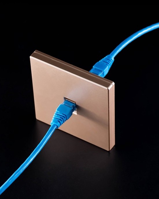CAT 6 Shielded Pass  through Network Module  Dual Ports Panel   Shielded Pass  through  Gold